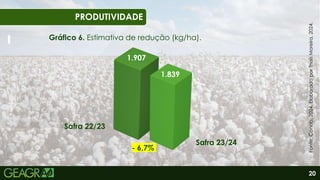 20
01
06
PRODUTIVIDADE
Gráfico 6. Estimativa de redução (kg/ha).
- 6,7%
Safra 22/23
Safra 23/24
1.839
1.907
Fonte:
Conab,
2024.
Elaborado
por
Thaís
Moreira,
2024.
 