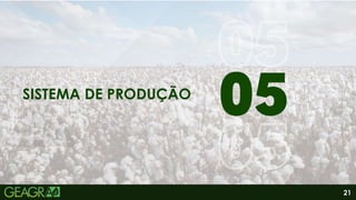 21
01
06
SISTEMA DE PRODUÇÃO
 