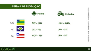 22
01
06
SISTEMA DE PRODUÇÃO
GO
MT
BA
Plantio Colheita
DEZ - JAN
DEZ - FEV
NOV - FEV
JUN - AGO
JUN - SET
JUN - SET
Fonte:
Basf,
2024.
Elaborado
por
Thaís
Moreira,
2024.
 
