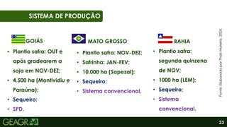 23
06
SISTEMA DE PRODUÇÃO
Fonte:
Elaborado
por
Thaís
Moreira,
2024.
MATO GROSSO
GOIÁS BAHIA
• Plantio safra: NOV-DEZ;
• Safrinha: JAN-FEV;
• 10.000 ha (Sapezal);
• Sequeiro;
• Sistema convencional.
• Plantio safra: OUT e
após gradearem a
soja em NOV-DEZ;
• 4.500 ha (Montividiu e
Paraúna);
• Sequeiro;
• SPD.
• Plantio safra:
segunda quinzena
de NOV;
• 1000 ha (LEM);
• Sequeiro;
• Sistema
convencional.
 
