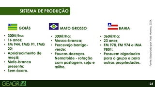 24
01
06
SISTEMA DE PRODUÇÃO
Fonte:
Elaborado
por
Thaís
Moreira,
2024.
MATO GROSSO
GOIÁS BAHIA
• 300@/ha;
• Mosca-branca;
• Percevejo barriga-
verde;
• Poucas doenças.
Nematoide - rotação
com pastagem, soja e
milho.
• 300@/ha;
• 16 anos;
• FM 944, TMG 91, TMG
22;
• Apodrecimento de
maçã;
• Mofo-branco
presente;
• Sem ácaro.
• 360@/ha;
• 23 anos;
• FM 978, FM 974 e IMA
9801;
• Possuem algodoeira
para o grupo e para
outras propriedades.
 