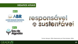 29
01
06
DESAFIOS ATUAIS
2012
2016
Fonte: Abrapa, 2024. Elaborado por Thaís Moreira, 2024.
 
