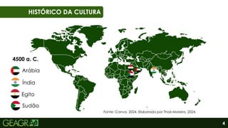 4
01
06
HISTÓRICO DA CULTURA
Arábia
Índia
Egito
Sudão
4500 a. C.
Fonte: Canva, 2024. Elaborado por Thaís Moreira, 2024.
 