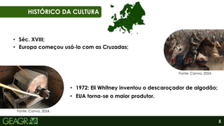 5
01
06
HISTÓRICO DA CULTURA
• Séc. XVIII;
• Europa começou usá-lo com as Cruzadas;
• 1972: Eli Whitney inventou o descaroçador de algodão;
• EUA torna-se o maior produtor.
Fonte: Canva, 2024.
Fonte: Canva, 2024.
 