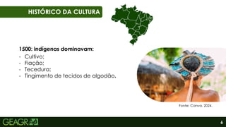 6
01
06
HISTÓRICO DA CULTURA
1500: indígenas dominavam:
- Cultivo;
- Fiação;
- Tecedura;
- Tingimento de tecidos de algodão.
Fonte: Canva, 2024.
 