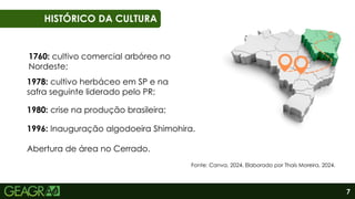 7
01
06
HISTÓRICO DA CULTURA
1760: cultivo comercial arbóreo no
Nordeste;
1978: cultivo herbáceo em SP e na
safra seguinte liderado pelo PR;
Fonte: Canva, 2024. Elaborado por Thaís Moreira, 2024.
1996: Inauguração algodoeira Shimohira.
Abertura de área no Cerrado.
1980: crise na produção brasileira;
 