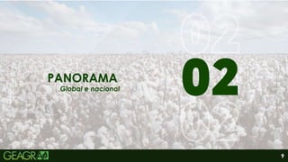 9
01
06
PANORAMA
Global e nacional
 