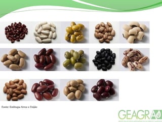 Fonte: Embrapa Arroz e Feijão
 