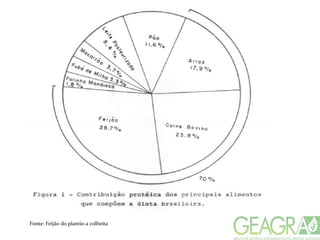 Fonte: Feijão do plantio a colheita
 