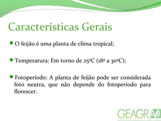 Características Gerais
O feijão é uma planta de clima tropical;
Temperatura: Em torno de 25ºC (18º a 30ºC);
Fotoperíodo: A planta de feijão pode ser considerada
foto neutra, que não depende do fotoperíodo para
florescer.
 