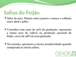 Safra da seca: Plantio entre janeiro e março e colheita
entre abril e julho.
Contribui com mais de 50% da produção, representa
a maior área de cultivo na produção nacional de
feijão, cerca de 48% da área plantada.
No entanto, apresenta a menor produtividade quando
comparada às outras safras.
Safras do Feijão
 