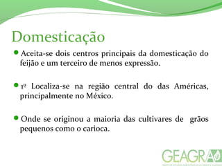 Domesticação
Aceita-se dois centros principais da domesticação do
feijão e um terceiro de menos expressão.
1º Localiza-se na região central do das Américas,
principalmente no México.
Onde se originou a maioria das cultivares de grãos
pequenos como o carioca.
 