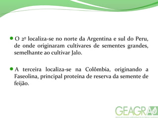 O 2º localiza-se no norte da Argentina e sul do Peru,
de onde originaram cultivares de sementes grandes,
semelhante ao cultivar Jalo.
A terceira localiza-se na Colômbia, originando a
Faseolina, principal proteína de reserva da semente de
feijão.
 