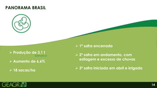 14
PANORAMA BRASIL
 Produção de 3,1 t
 Aumento de 6,6%
 18 sacas/ha
 1ª safra encerrada
 2ª safra em andamento, com
estiagem e excesso de chuvas
 3ª safra iniciada em abril e irrigada
Estimativa*
 