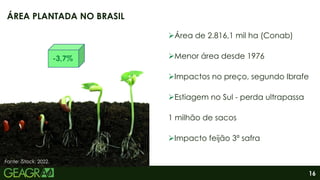 16
Área de 2.816,1 mil ha (Conab)
Menor área desde 1976
Impactos no preço, segundo Ibrafe
Estiagem no Sul - perda ultrapassa
1 milhão de sacos
Impacto feijão 3ª safra
ÁREA PLANTADA NO BRASIL
Fonte: iStock, 2022..
-3,7%
 
