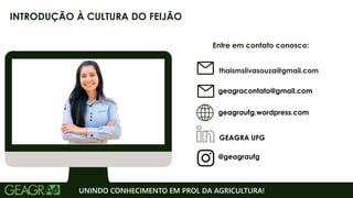 Entre em contato conosco:
geagraufg.wordpress.com
geagracontato@gmail.com
GEAGRA UFG
@geagraufg
UNINDO CONHECIMENTO EM PROL DA AGRICULTURA!
INTRODUÇÃO À CULTURA DO FEIJÃO
thaismsilvasouza@gmail.com
 