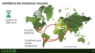 4
HISTÓRICO DO PHASEOLUS VULGARIS
.
Fonte: iStock, 2022.
Yucatán
(México)
Cordilheira dos
Andes
(Argentina)
Cultivo há
2500 anos
 