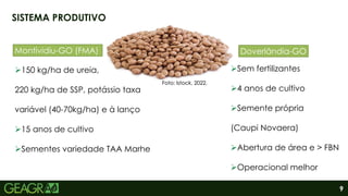 9
SISTEMA PRODUTIVO
Foto: Istock, 2022.
Doverlândia-GO
Montividiu-GO (FMA)
Sem fertilizantes
4 anos de cultivo
Semente própria
(Caupi Novaera)
Abertura de área e > FBN
Operacional melhor
150 kg/ha de ureia,
220 kg/ha de SSP, potássio taxa
variável (40-70kg/ha) e à lanço
15 anos de cultivo
Sementes variedade TAA Marhe
 