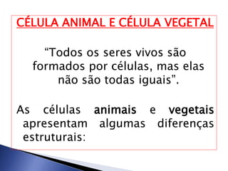 CÉLULA ANIMAL E CÉLULA VEGETAL
“Todos os seres vivos são
formados por células, mas elas
não são todas iguais”.
As células animais e vegetais
apresentam algumas diferenças
estruturais:
 