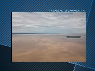 Estuário do Rio Amazonas-PA
 
