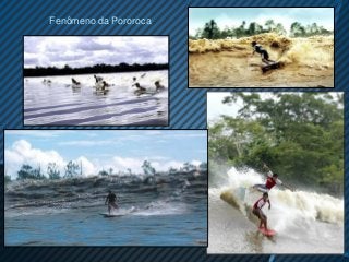 Fenômeno da Pororoca
 