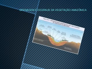 DRENAGEM E DEGRAUS DA VEGETAÇÃO AMAZÔNICA
 