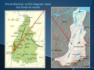 Ilha do Bananal, no Rio Araguaia: maior
          ilha fluvial do mundo
 