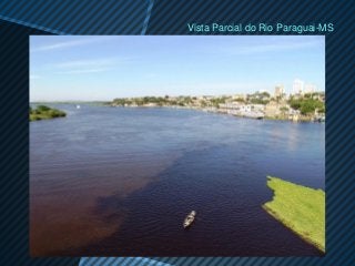 Vista Parcial do Rio Paraguai-MS
 