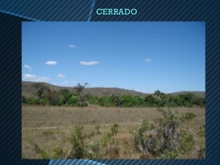 CERRADO
 
