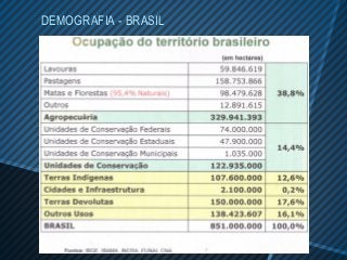 DEMOGRAFIA - BRASIL
 