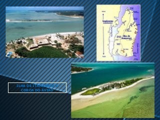 ILHA DE ITAMARACÁ E
  COROA DO AVIÃO
 