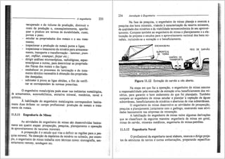 Introdução à engenharia bazzo