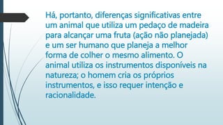 Há, portanto, diferenças significativas entre
um animal que utiliza um pedaço de madeira
para alcançar uma fruta (ação não planejada)
e um ser humano que planeja a melhor
forma de colher o mesmo alimento. O
animal utiliza os instrumentos disponíveis na
natureza; o homem cria os próprios
instrumentos, e isso requer intenção e
racionalidade.
 