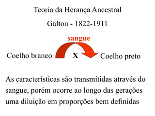 Teoria da Herança Ancestral
Galton - 1822-1911
Coelho branco Coelho pretoX
sangue
As características são transmitidas através do
sangue, porém ocorre ao longo das gerações
uma diluição em proporções bem definidas
 