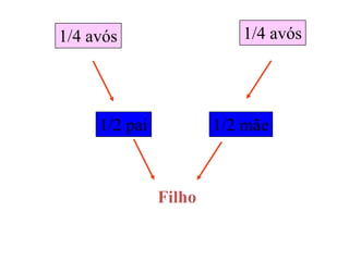 1/4 avós 1/4 avós
1/2 pai 1/2 mãe
Filho
 