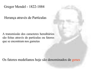 Herança através de Partículas
Gregor Mendel - 1822-1884
A transmissão dos caracteres hereditários
são feitas através de partículas ou fatores
que se encontram nos gametas
Os fatores medelianos hoje são denominados de genes
 
