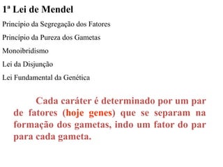 1ª Lei de Mendel
Princípio da Segregação dos Fatores
Princípio da Pureza dos Gametas
Monoibridismo
Lei da Disjunção
Lei Fundamental da Genética
Cada caráter é determinado por um par
de fatores (hoje genes) que se separam na
formação dos gametas, indo um fator do par
para cada gameta.
 