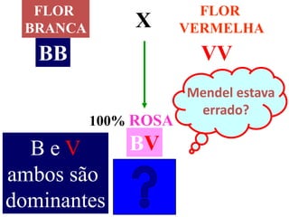 FLOR
BRANCA
FLOR
VERMELHAX
100% ROSA
Mendel estava
errado?
BB VV
BVB e V
ambos são
dominantes
 