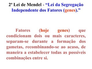 2ª Lei de Mendel - “Lei da Segregação
Independente dos Fatores (genes).”
Fatores (hoje genes) que
condicionam dois ou mais caracteres,
separam-se durante a formação dos
gametas, recombinando-se ao acaso, de
maneira a estabelecer todas as possíveis
combinações entre si.
 