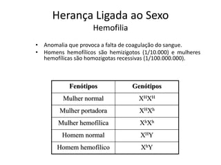 Herança Ligada ao Sexo
Hemofilia
• Anomalia que provoca a falta de coagulação do sangue.
• Homens hemofílicos são hemizigotos (1/10.000) e mulheres
hemofílicas são homozigotas recessivas (1/100.000.000).
Fenótipos Genótipos
Mulher normal XHXH
Mulher portadora XHXh
Mulher hemofílica XhXh
Homem normal XHY
Homem hemofílico XhY
 