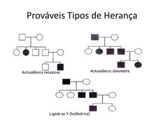 Prováveis Tipos de Herança
Autossômica recessiva Autossômica dominante
Ligada ao Y (holândrica)
 