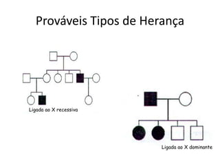 Prováveis Tipos de Herança
Ligada ao X recessiva
Ligada ao X dominante
 