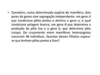 • Considere, numa determinada espécie de mamífero, dois
pares de genes com segregação independente: um gene A
que condiciona pêlos pretos e domina o gene a, o qual
condiciona pelagem branca; um gene B que determina a
produção de pêlo liso e o gene b, que determina pêlo
crespo. Do cruzamento entre mamíferos heterozigotos
nasceram 48 indivíduos. Quantos desses filhotes espera-
se que tenham pêlos pretos e lisos?
 