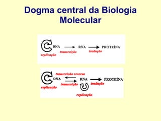 Dogma central da Biologia
Molecular
 