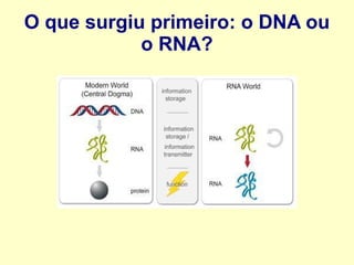 O que surgiu primeiro: o DNA ou
o RNA?
 