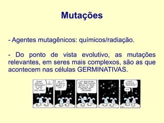 Mutações
- Agentes mutagênicos: químicos/radiação.
- Do ponto de vista evolutivo, as mutações
relevantes, em seres mais complexos, são as que
acontecem nas células GERMINATIVAS.
 