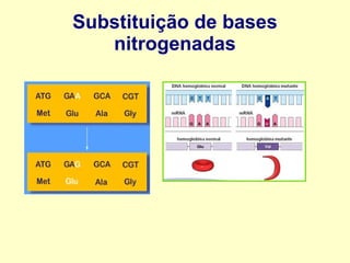 Substituição de bases
nitrogenadas
 