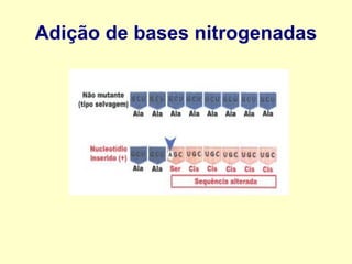 Adição de bases nitrogenadas
 