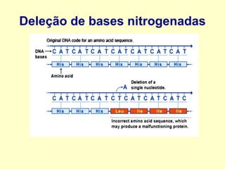 Deleção de bases nitrogenadas
 