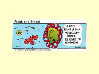 Introdução à genética